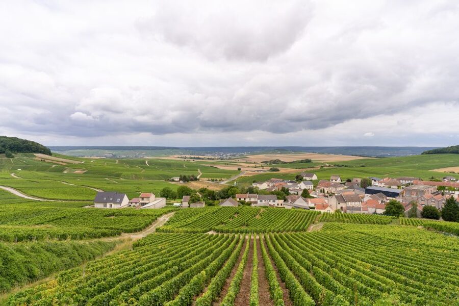 From Paris: Day Trip to Champagne with 8 Tastings & Lunch - What to Bring, What to Expect at the End of the Day
