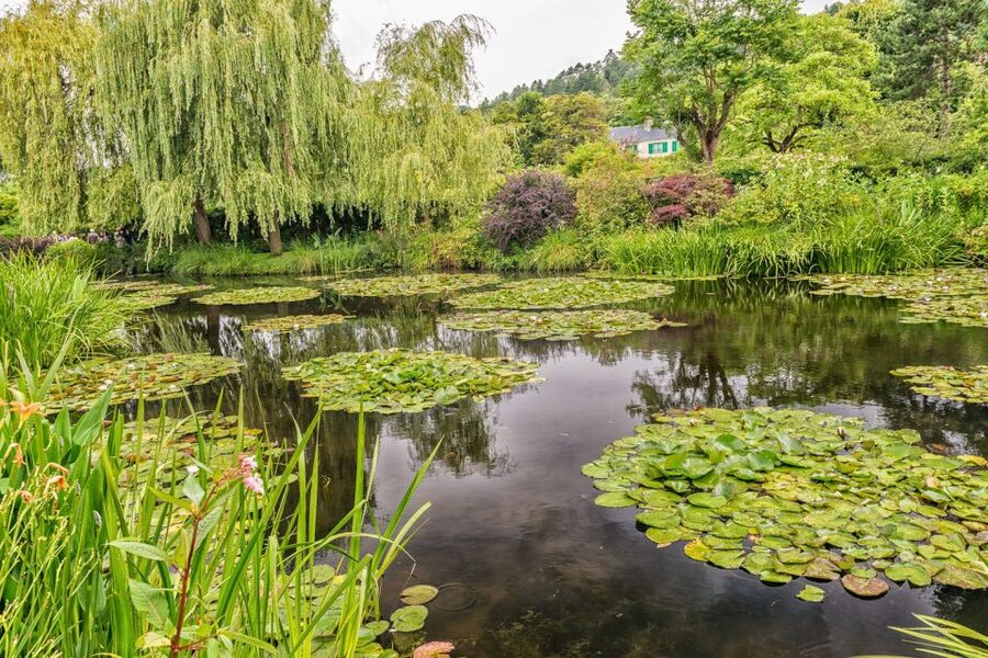 From Paris: Guided Day Trip to Monet's Garden in Giverny - Key things I’d watch for on this Giverny trip