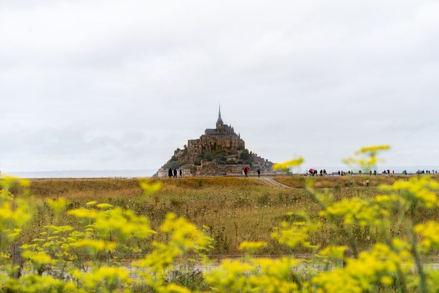 From Paris: Mont Saint Michel Day Trip with a Guide - Value for $128: what you get for the money (and what you don’t)