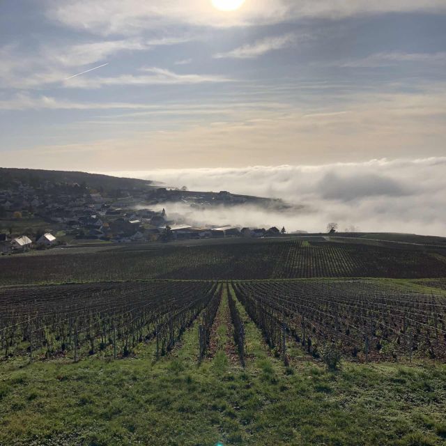 From Paris: Reims and Champagne Tasting Full-Day Tour - What to wear, what to expect, and who this fits