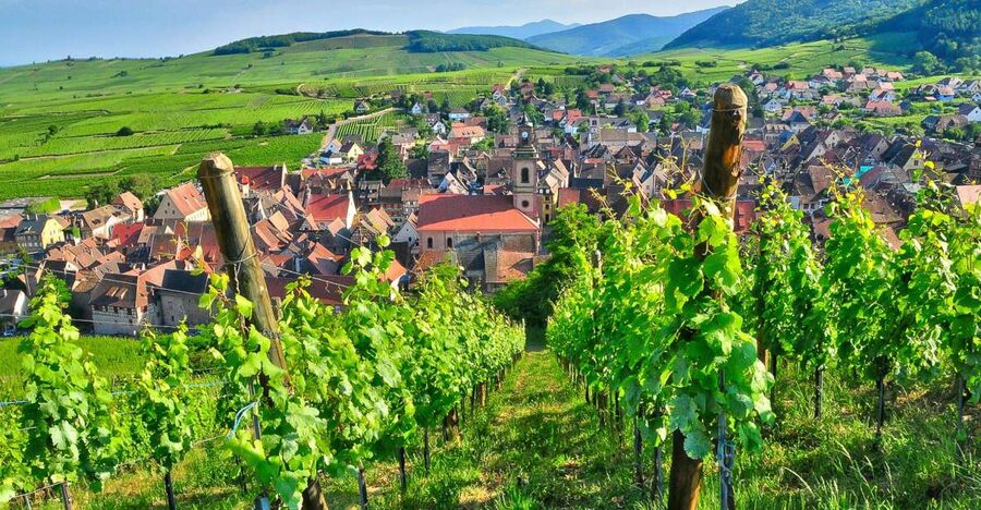 From Paris: Small-Group Champagne Day Trip with Six Tastings - Key takeaways before you go