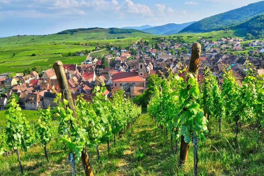 From Paris: Small-Group Champagne Day Trip with Six Tastings - Épernay lunch break: a short reset, plus a chance to linger near the Avenue de Champagne