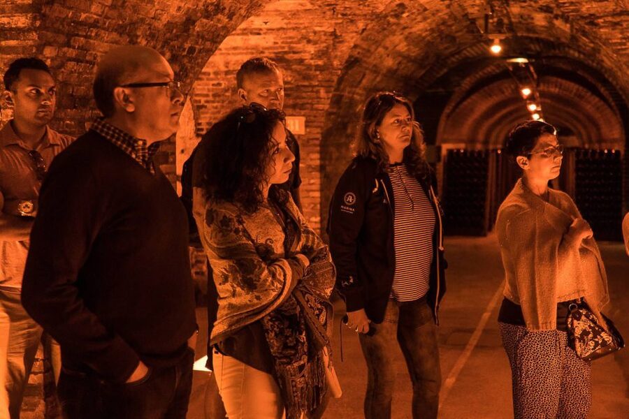 From Paris: Small-Group Champagne Day Trip with Six Tastings - Nicolas Feuillatte: big producer tour, modern production, and 3 included tastings