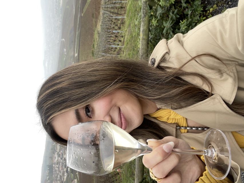 From Paris: Small-Group Champagne Tour with 3-Course Lunch - Marne Photo Stop and Another Tasting, A Quick Dose of Region Reality