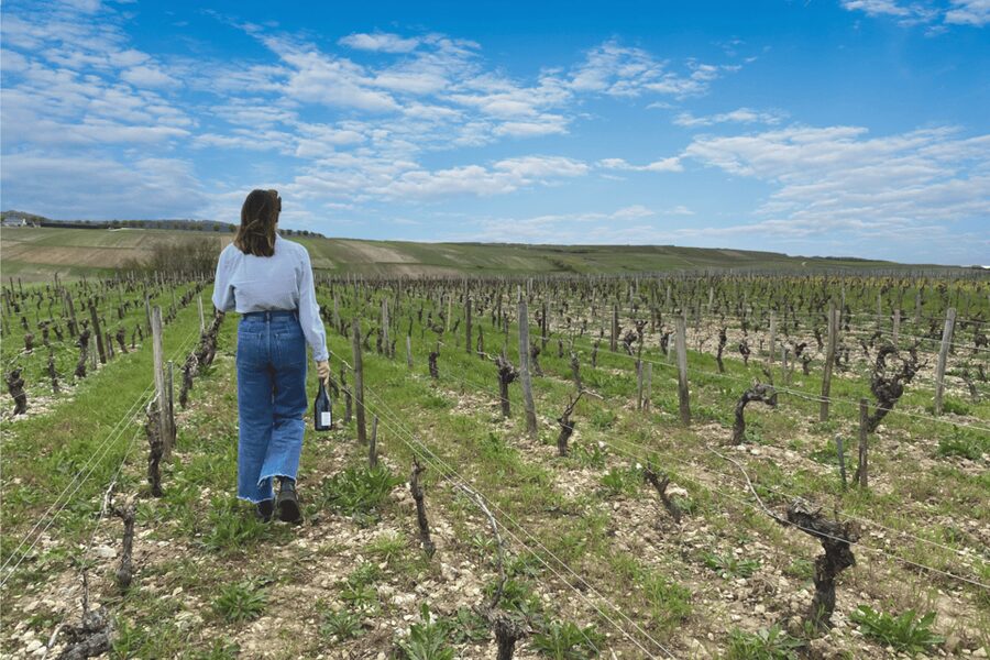 From Paris: Wine Day trip to SANCERRE w 10 Tastings & Lunch - Who this Sancerre tour fits best