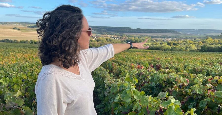 From Paris: Wine Day trip to SANCERRE w 10 Tastings & Lunch - A practical reason to choose Sancerre as a one-day escape