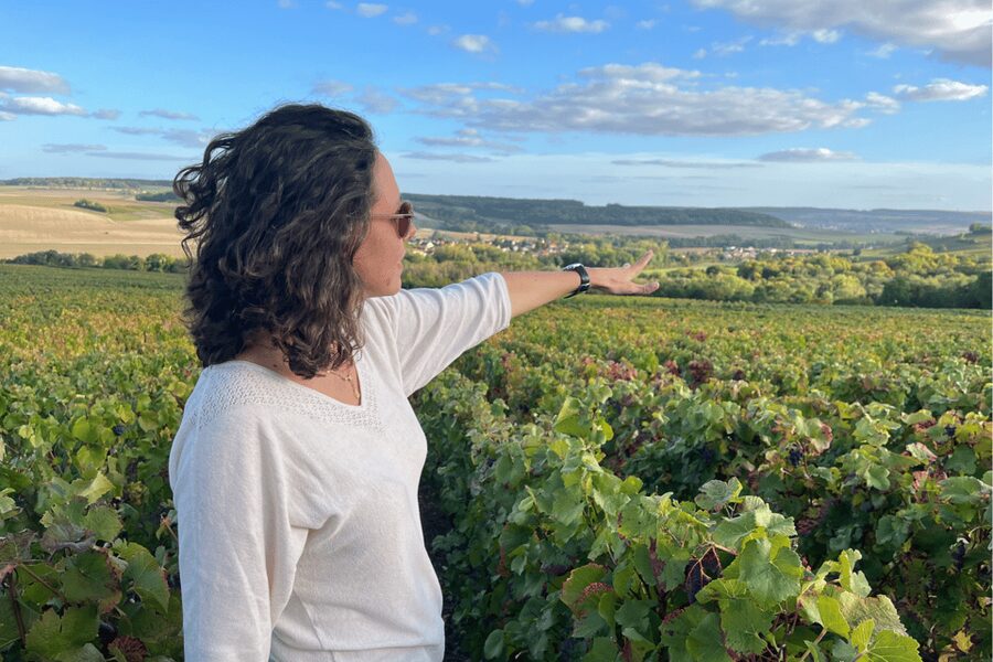 From Paris: Wine Day trip to SANCERRE w 10 Tastings & Lunch - The terroirs you will hear about while you watch vines grow