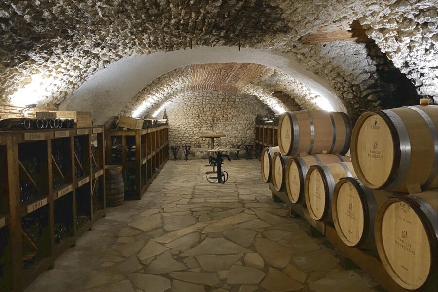 From Paris: Wine Day trip to SANCERRE w 10 Tastings & Lunch - Wine tastings across the day: 10+ pours and smart variety