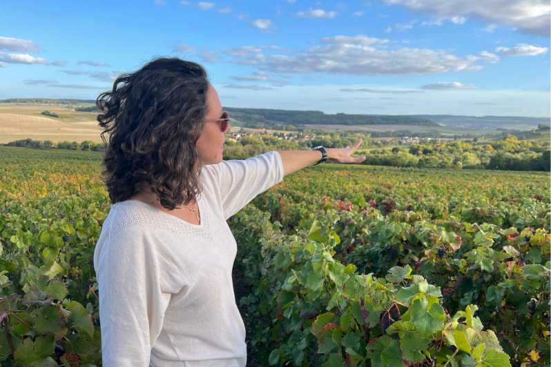 From Paris: Wine Day trip to SANCERRE w 10 Tastings & Lunch - Getting out of Paris: pickup, croissant fuel, and the first lesson