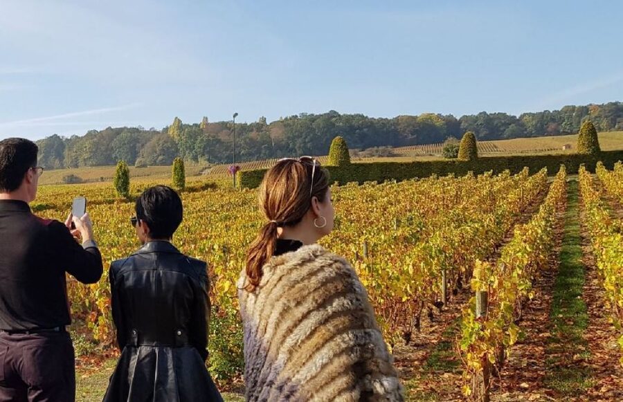 From Reims: Champagne Day Trip to 3 Family Domains & Lunch - The second and third estates: a 9-glass tasting arc