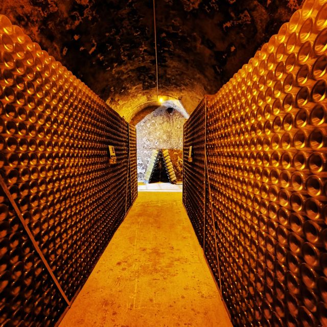 From Reims: Day Trip to Veuve Clicquot Family Grower & Lunch - Language and group vibe: English guides, small group energy