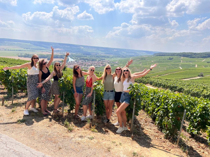 From Reims/Epernay: Champagne half-day tour (small group) - Price and value for $188 per person, for real-world use