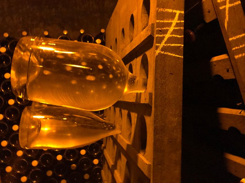 From Reims/Epernay: Champagne half-day tour (small group) - Timing, logistics, and how to get the best day