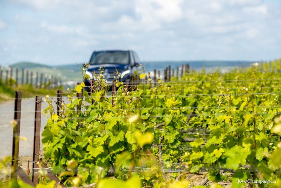 From Reims: Morning Champagne Tour and Tastings - Stop one at the boutique estate: grapes, cuverie, and 3 cuvées