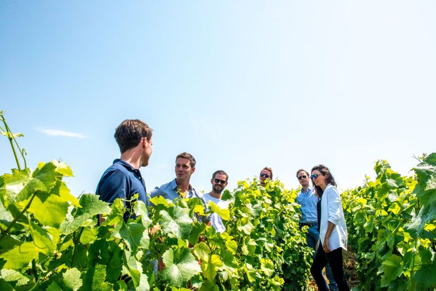 From Reims: Morning Champagne Tour and Tastings - Price and value: is $135 fair for four hours?