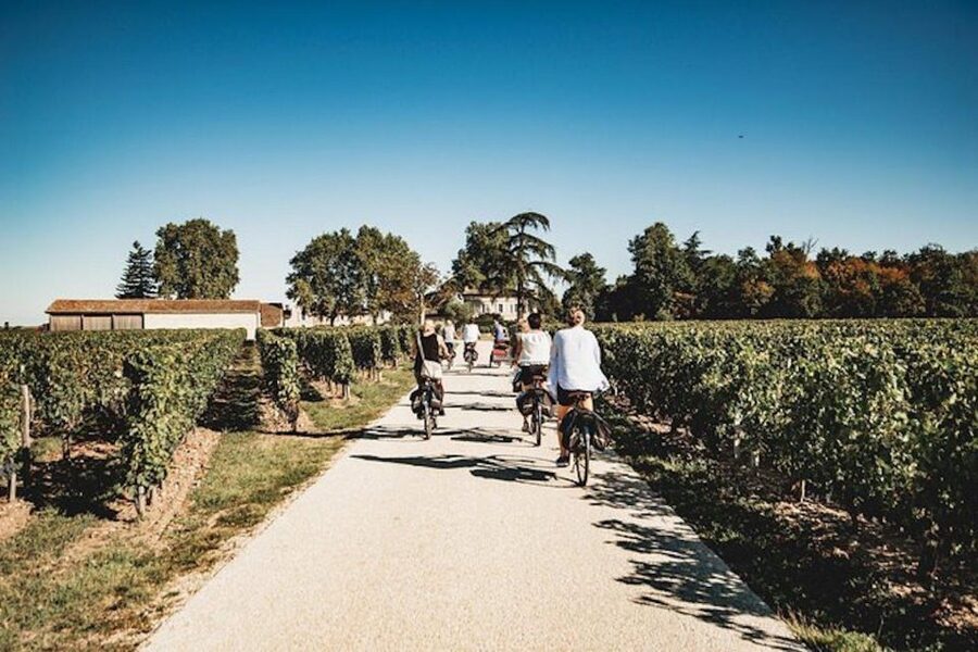 From Saint-Emilion : Half Day Electric Bike Tour - A French-style winery picnic lunch with wine at the first estate