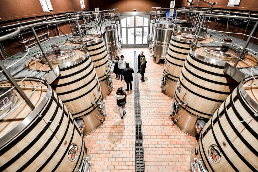 From Saint-Emilion : Half Day Electric Bike Tour - Second winery: guided visit and tastings at about 3:00