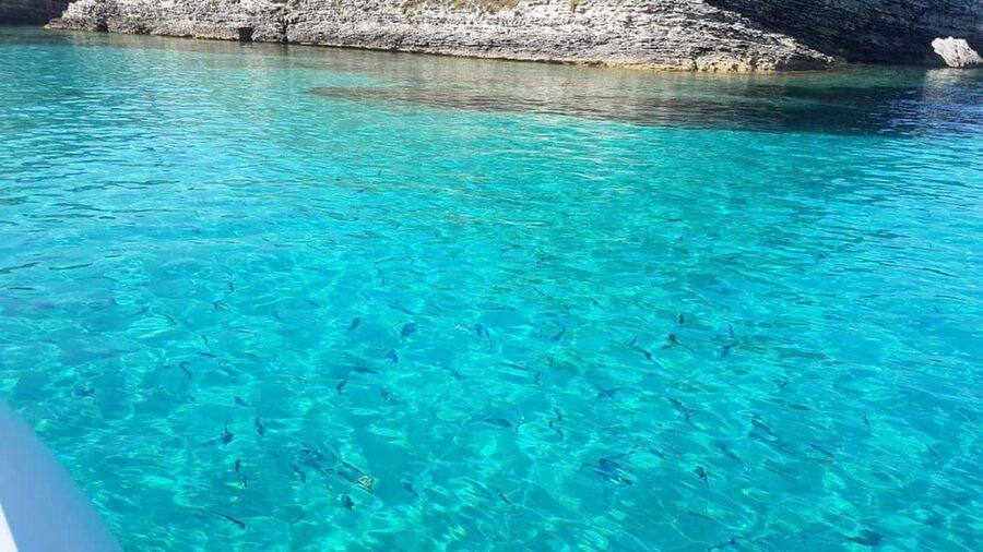 From Santa Teresa: Sailboat Tour to Corsica with Lunch - Bonifacio On Private Tours: When It Can Be Added