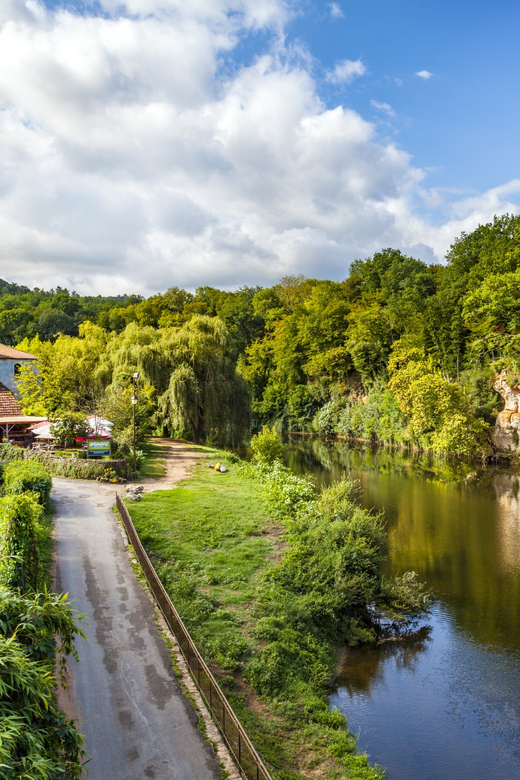From Sarlat: Half-Day Skip-the-Line Lascaux IV Tour - Who this tour is best for, and who should skip it