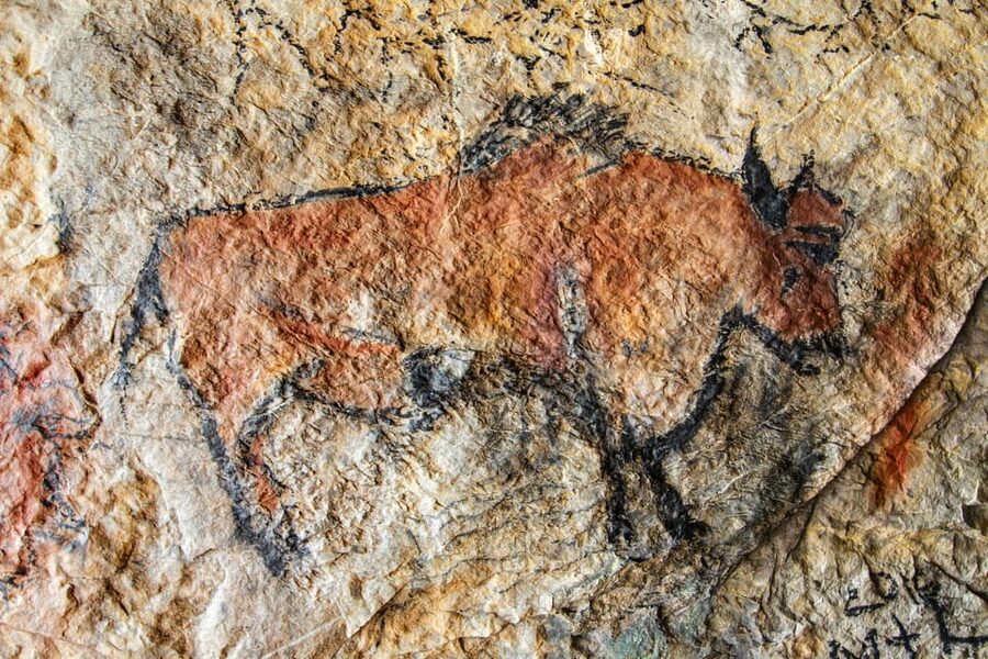 From Sarlat: Half-Day Skip-the-Line Lascaux IV Tour - From Sarlat to Lascaux IV: small-group van pacing that works