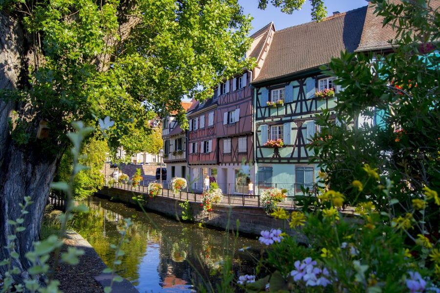 From Strasbourg: Best Of Alsace Historical Day Trip - Why This Alsace Day Trip Works From Strasbourg