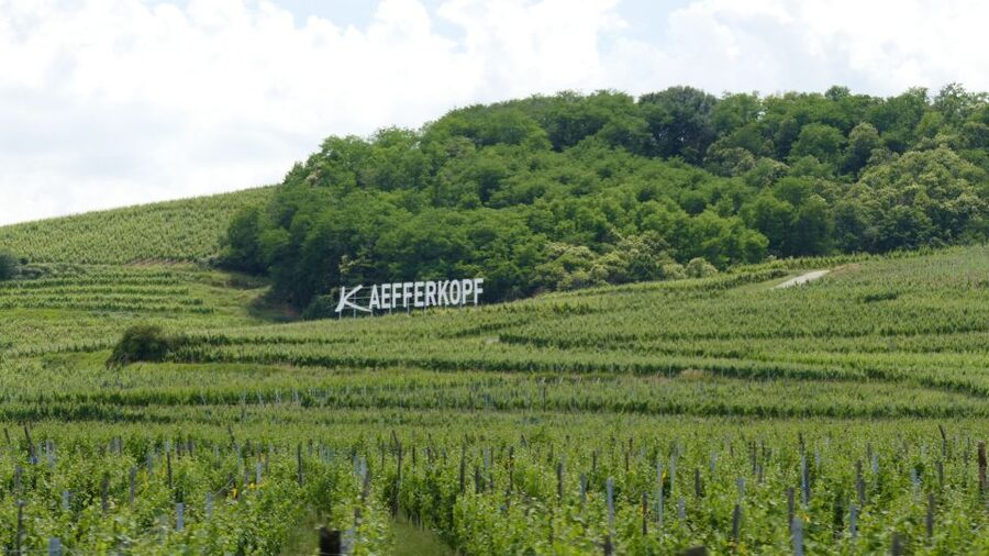 From Strasbourg: Best Of Alsace Historical Day Trip - Bergheim and Hunawihr: Quick Scenery Stops That Set the Mood