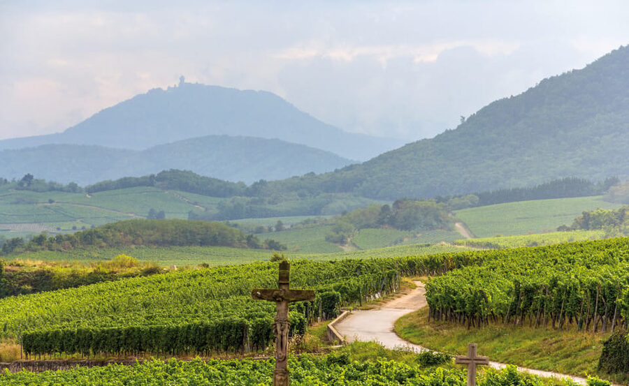 From Strasbourg: Full-Day Highlights of the Alsace Tour - Pace, Timing, and How to Use Your Hour-Free Time Well