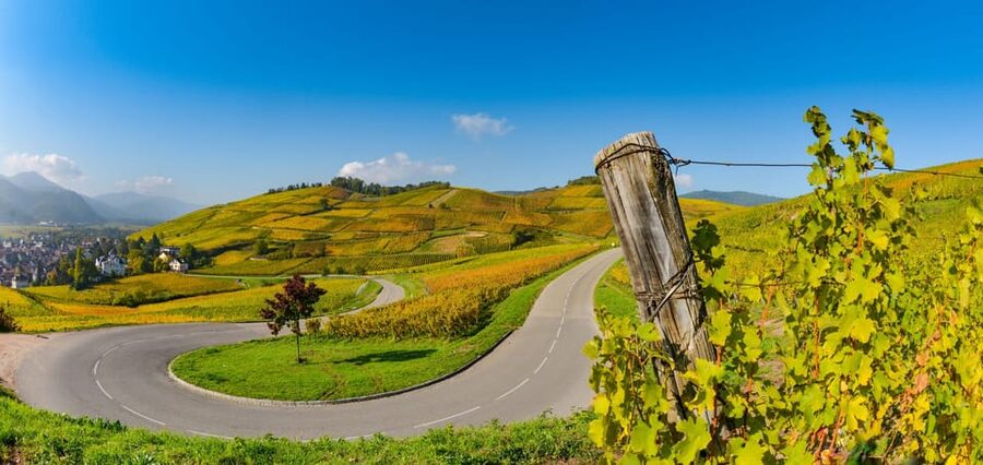 From Strasbourg: Half-Day Tour of Alsace Villages - Key highlights worth your time