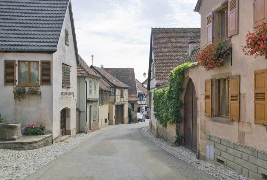 From Strasbourg: Half-Day Tour of Alsace Villages - Should you book this Alsace villages half-day tour?