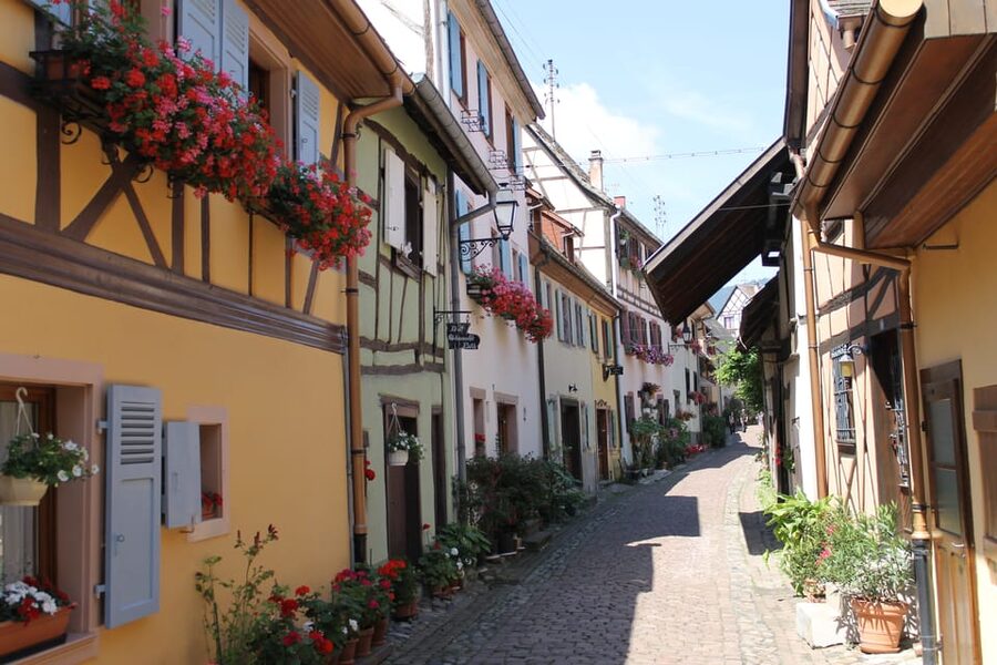 From Strasbourg: Half-Day Tour of Alsace Villages - A half-day reset from Strasbourg: villages, wine, and real walking