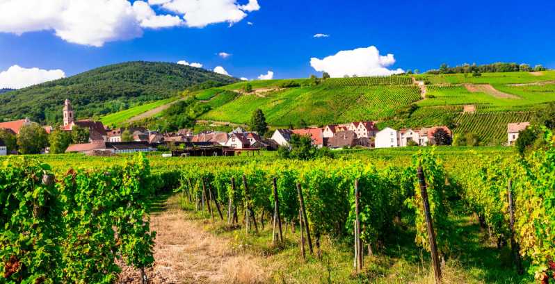 From Strasbourg: Half-Day Tour of Alsace Villages - Barr’s vineyards and Marco Folie, plus the town architecture fix
