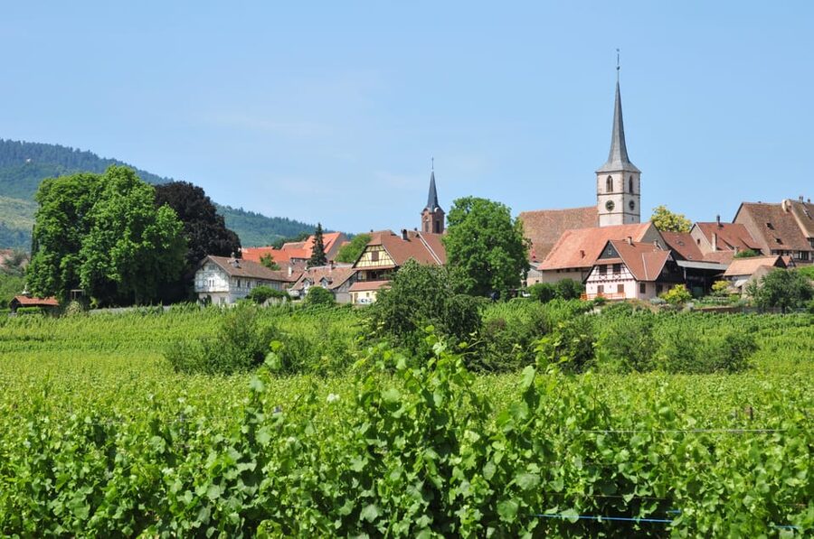 From Strasbourg: Half-Day Tour of Alsace Villages - Andlau walking tour: narrow streets and a 9th-century abbatial church