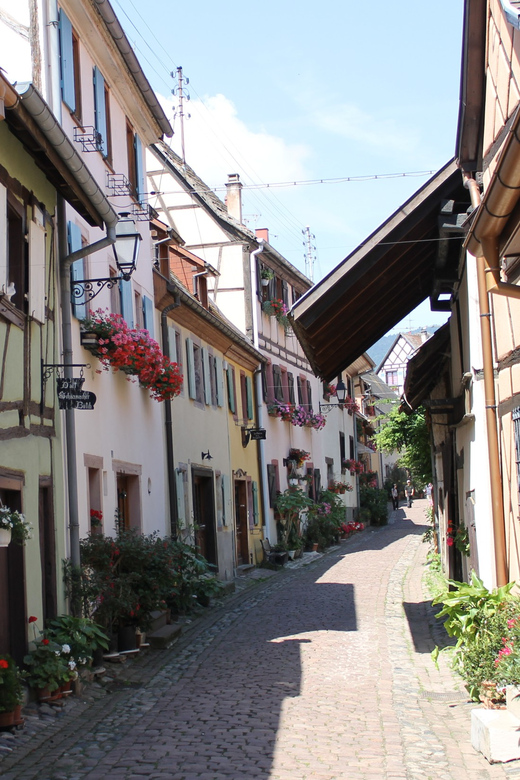 From Strasbourg: Half-Day Tour of Alsace Villages - Group size, pace, and who the half-day format fits best