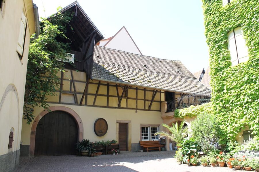 From Strasbourg: Half-Day Tour of Alsace Villages - Price and value: is $112 per person worth it?