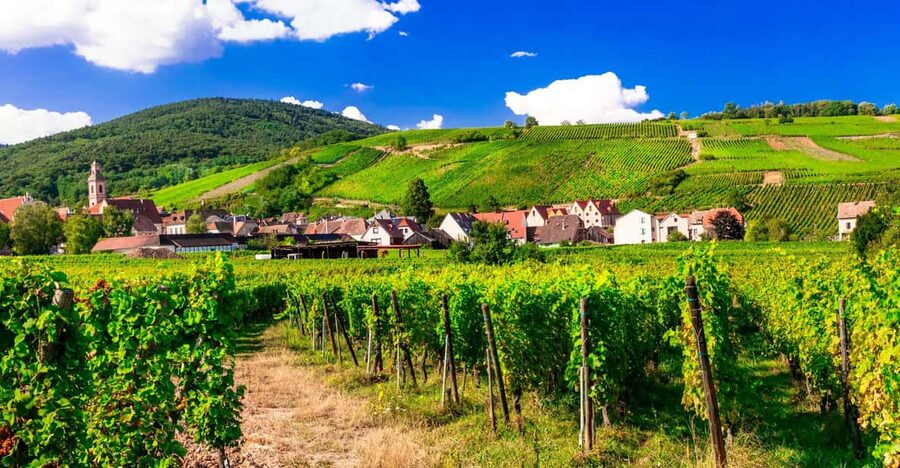 From Strasbourg: Half-Day Tour of Alsace Villages - Getting to Barr: the simple Strasbourg meet-up and minivan timing