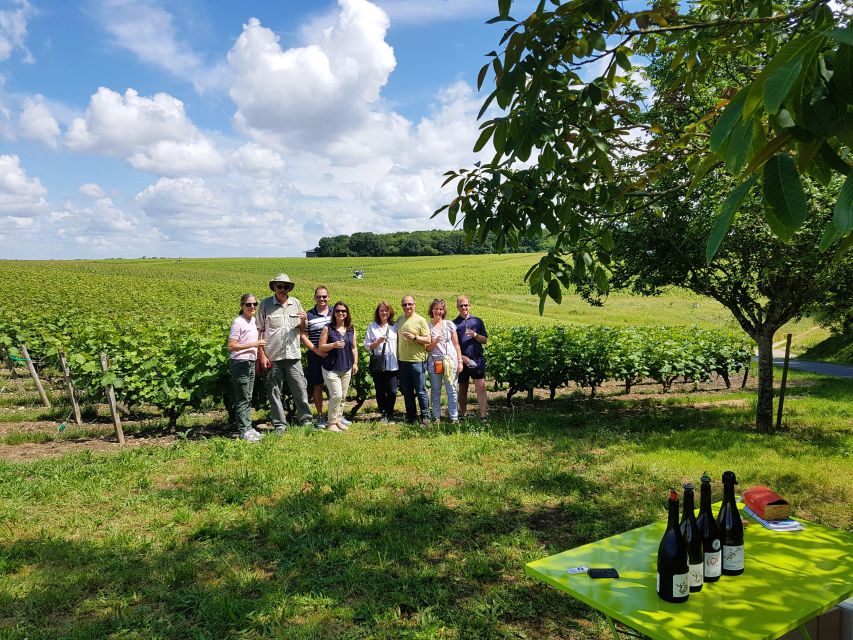 From Tours: Afternoon Loire Valley Wine Tour - A Half Day From Tours With a Real Winery Focus