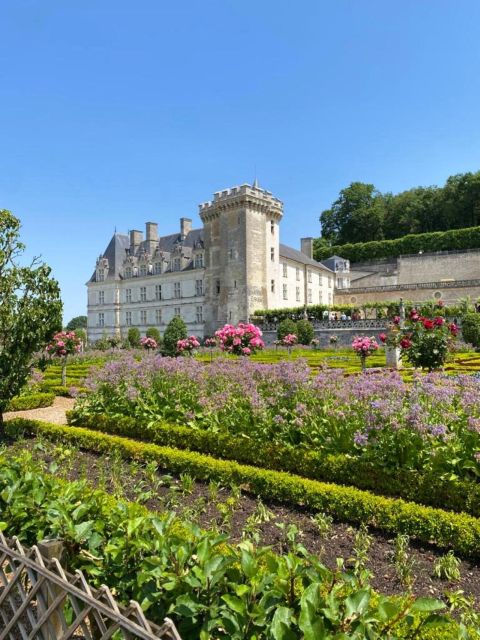 From Tours: Afternoon Loire Valley Wine Tour - Vouvray Winery Stop: Vat Room, Underground Cellars, and a Winemaker Chat