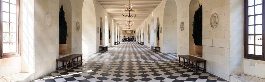 From Tours/Amboise: Chenonceau & Chambord Chateaux Day Trip - When Booking Makes Sense, and When It Does Not