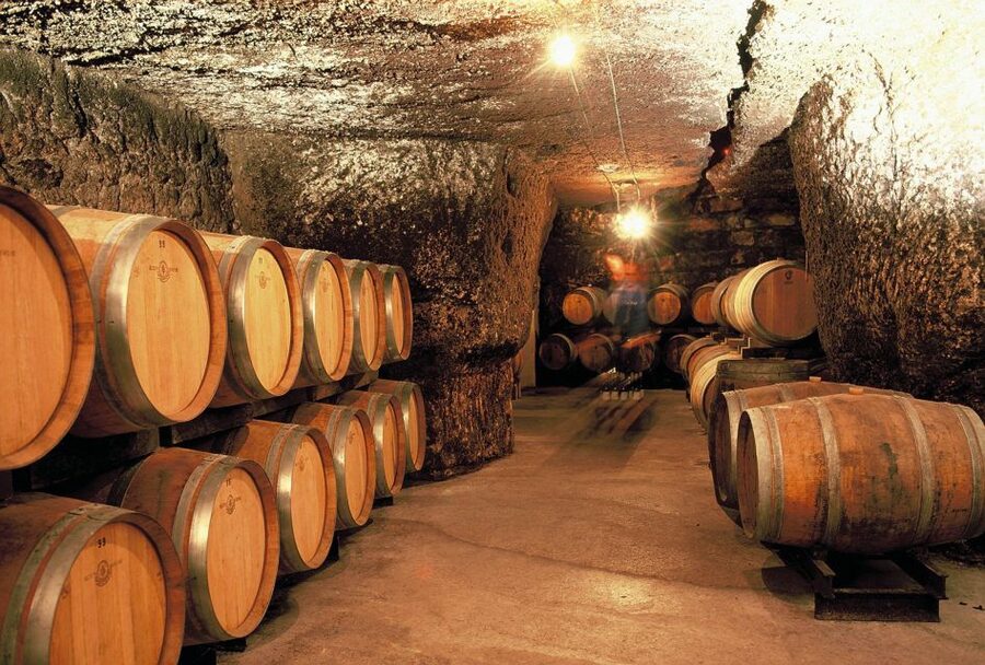 From Tours: Loire Valley Wineries Day Trip with Tastings - A smooth, small-group day from Tours