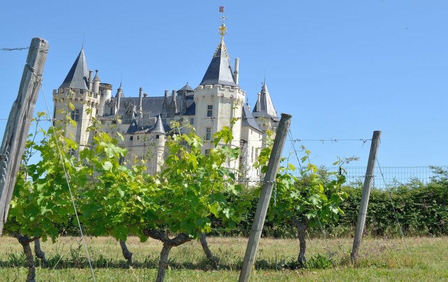 From Tours: Loire Valley Wineries Day Trip with Tastings - Chinon first: town strolling plus a guided wine tasting