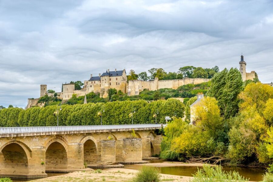 From Tours: Loire Valley Wineries Day Trip with Tastings - Chinon lunch break: local pork rillettes, shopping time, and market vibes