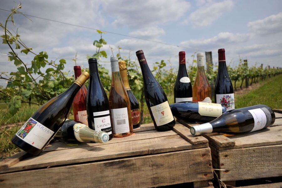 From Tours: Loire Valley Wineries Day Trip with Tastings - Into Bourgueil: vineyards, soil diversity, and a second tasting