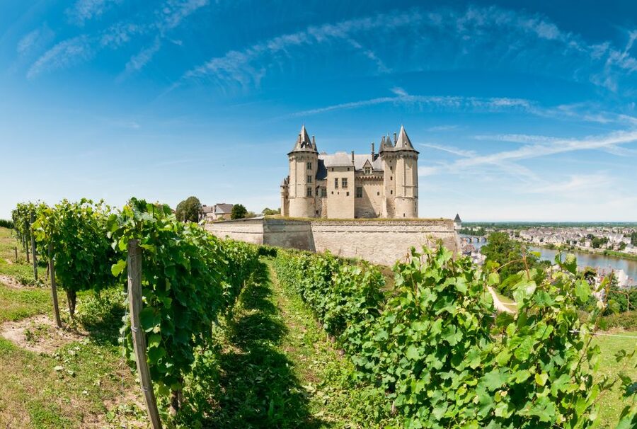 From Tours: Loire Valley Wineries Day Trip with Tastings - What you learn during tastings: notes, production, and how to taste smarter
