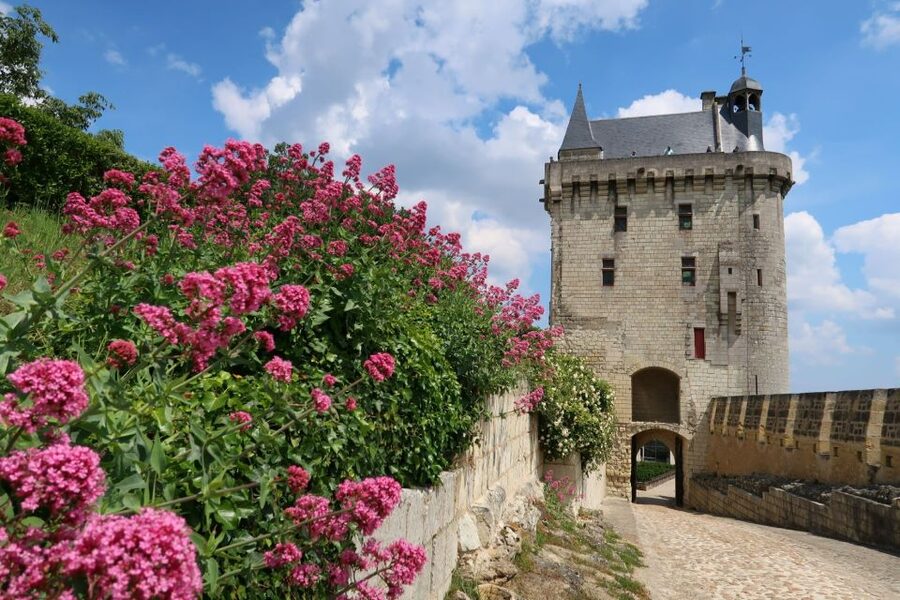 From Tours: Loire Valley Wineries Day Trip with Tastings - Price and value: is $182 worth it for two tastings and Chinon time?
