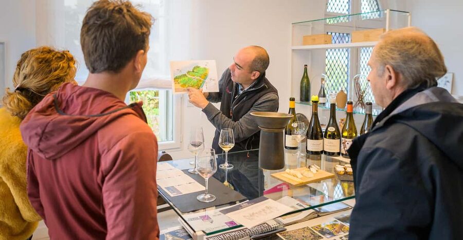 From Tours or Amboise: Loire Valley Wine Tour - Vineyard Time: Terroir, Grape Varieties, and Winemaking Basics