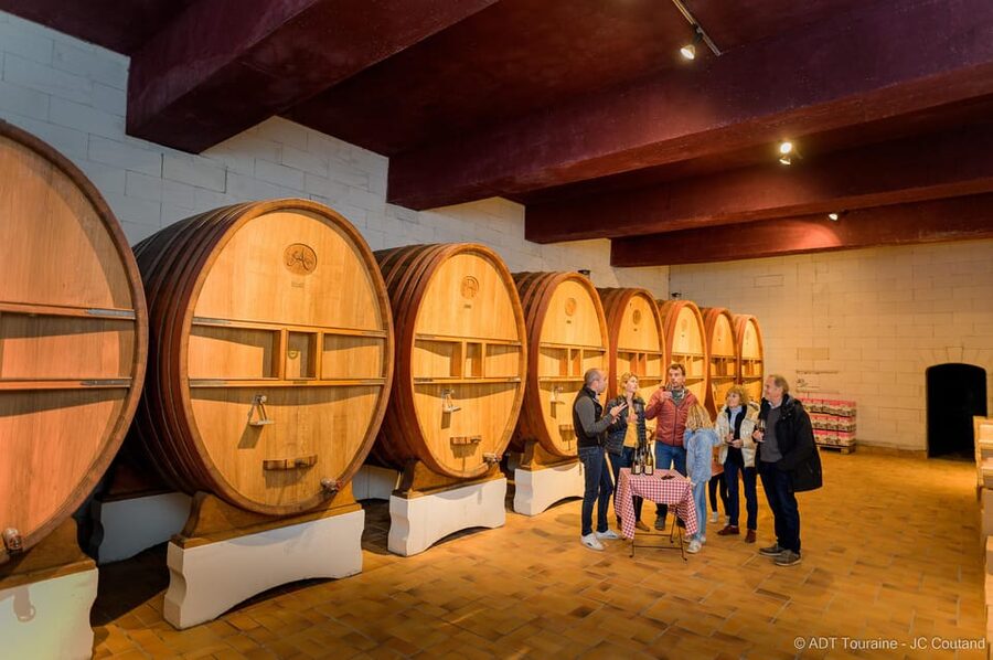 From Tours or Amboise: Loire Valley Wine Tour - Mercedes Van Transfers, Group Size, and Your 5:30 Return