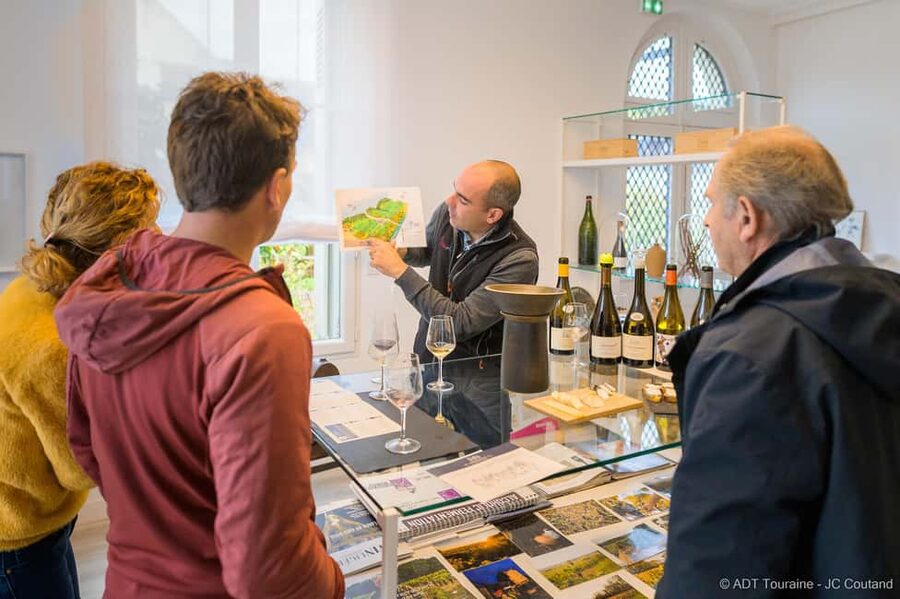 From Tours or Amboise: Loire Valley Wine Tour - Two Wine Estates, Minimum 10 Tastings, and a Real Estate Walk