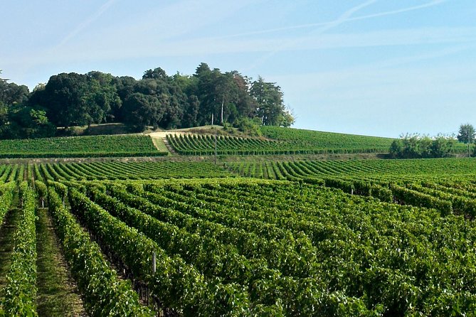 Full-day Saint-Emilion: Village, Undergrounds and Châteaux - Château Champion: three wines, winemaker lessons, and a strong close