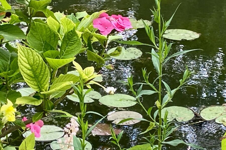 Giverny Versailles Trianon Small Group by Minivan from Paris - Skip-the-line Versailles Palace, plus audio guide inside