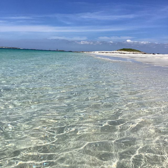 Glénan islands discover, full or half day privatization - Pen-fret bird island walk, panoramic views, and swim breaks